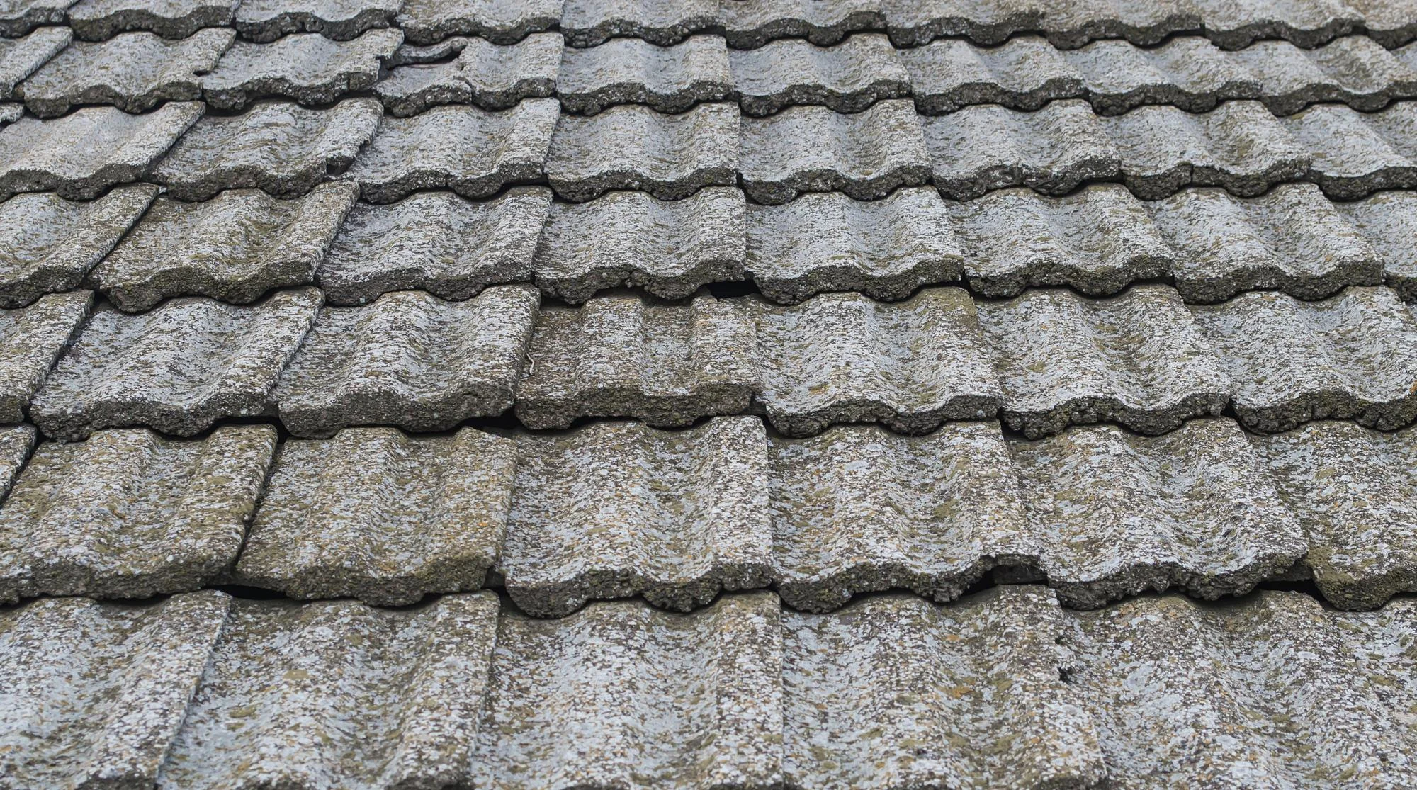 Shingle Roofs
