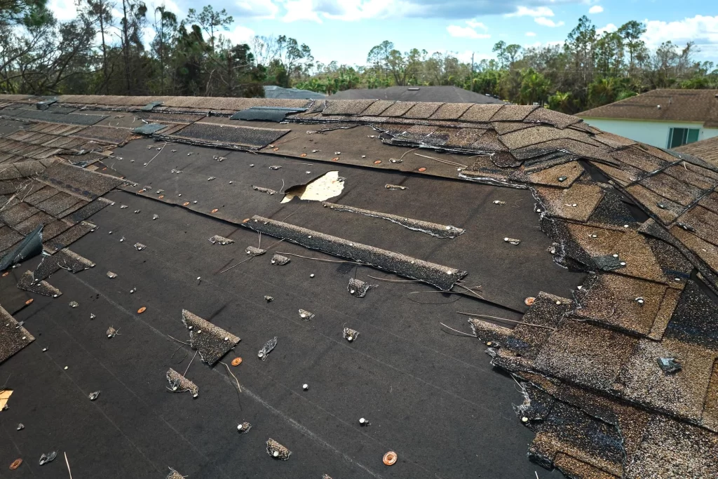 Hail Damage