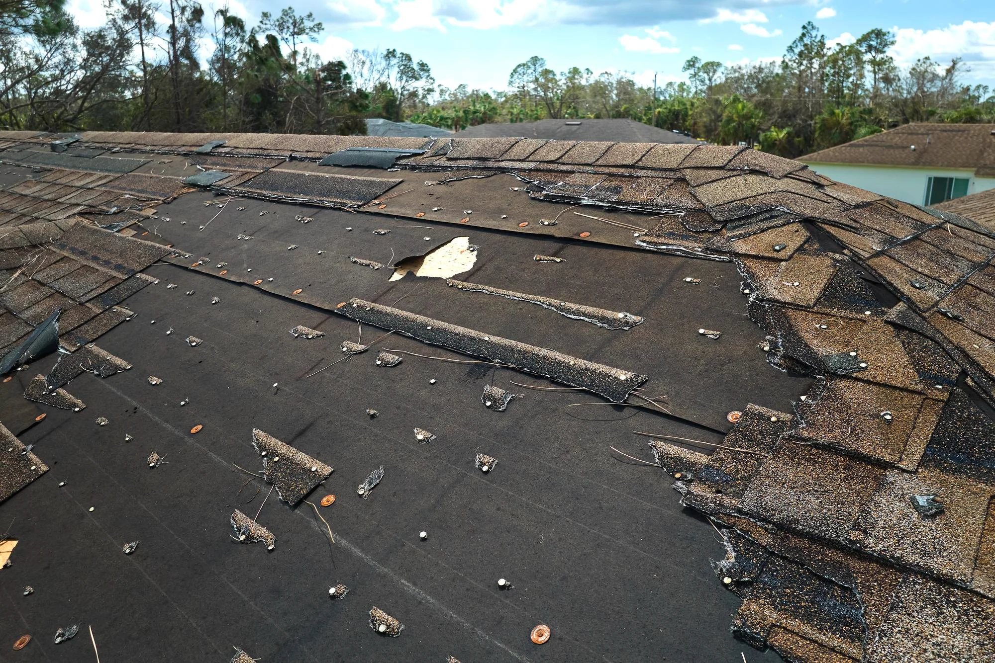 Hail Damage
